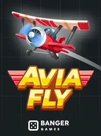 Avia Fly Avia Fly crash at AAGO
